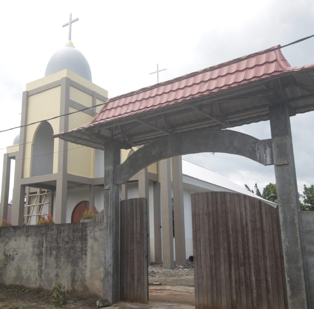 IMG_5386 copy IMG_5386 copy